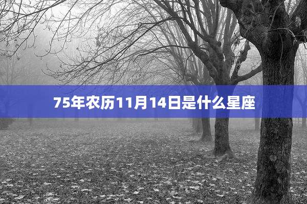 75年农历11月14日是什么星座