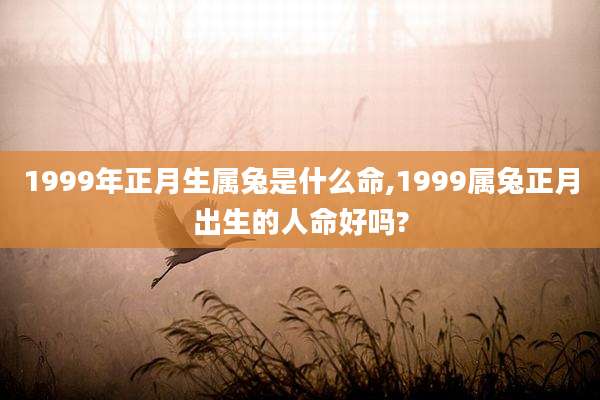 1999年正月生属兔是什么命,1999属兔正月出生的人命好吗?