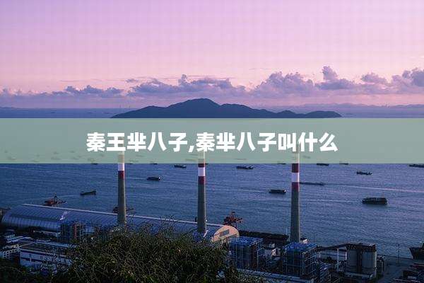秦王芈八子,秦芈八子叫什么