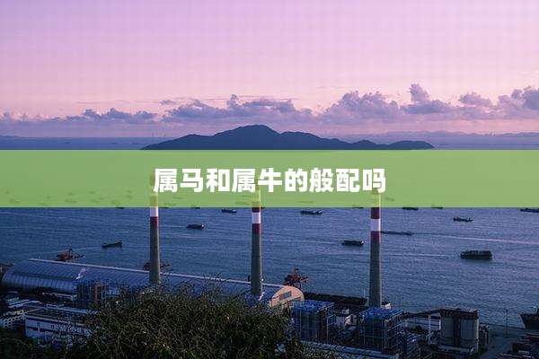 属马和属牛的般配吗