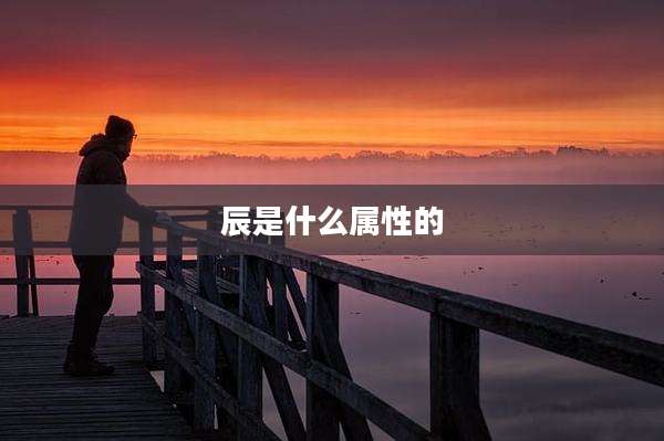 辰是什么属性的