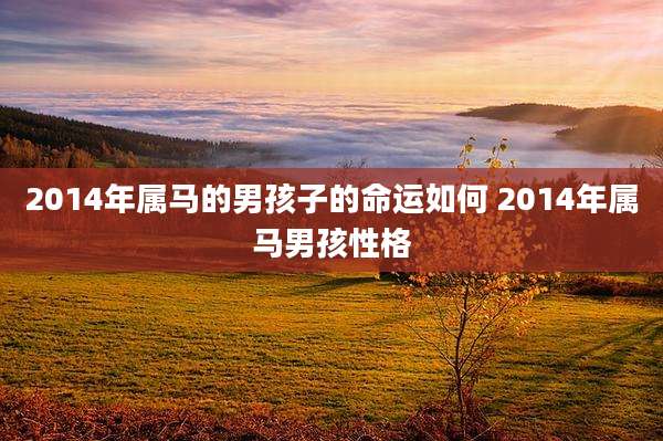 2014年属马的男孩子的命运如何 2014年属马男孩性格