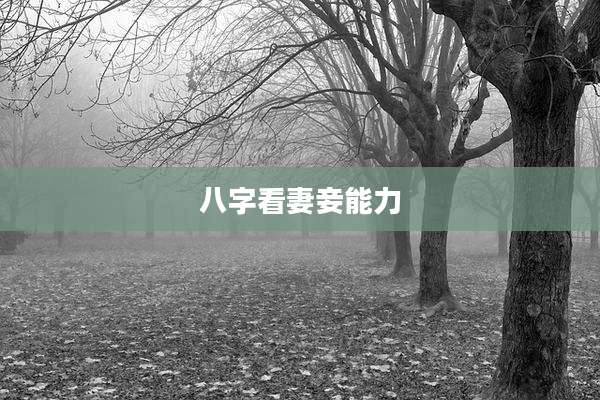 八字看妻妾能力
