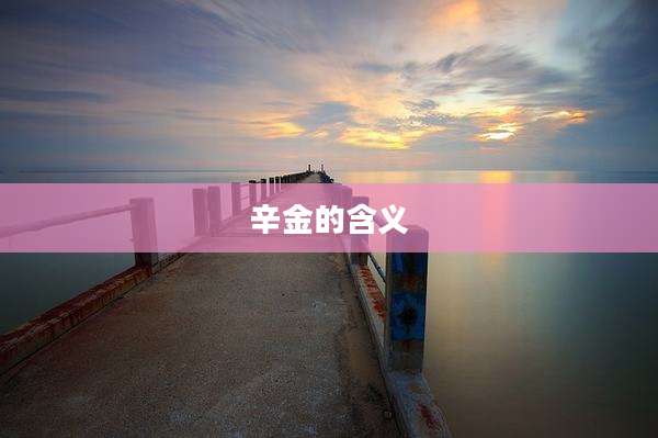 辛金的含义