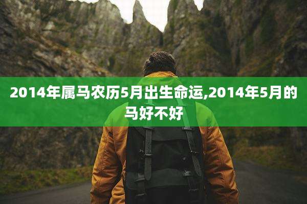 2014年属马农历5月出生命运,2014年5月的马好不好