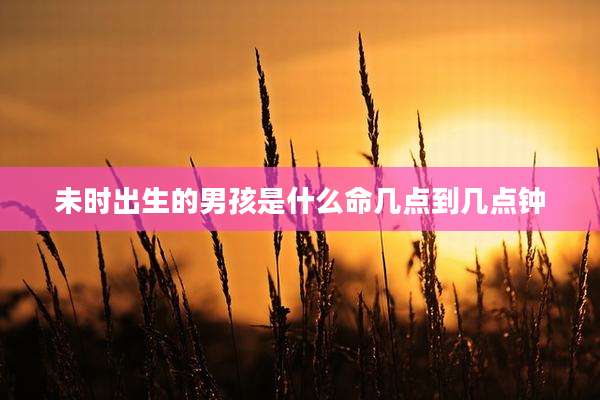 未时出生的男孩是什么命几点到几点钟