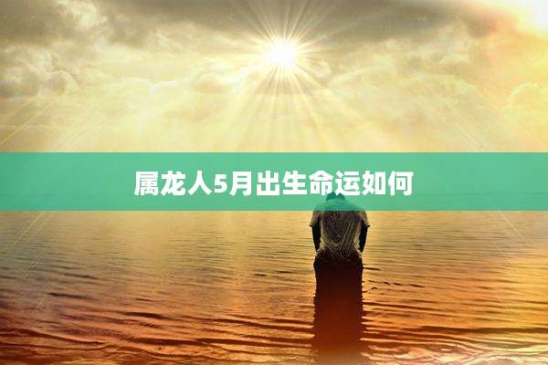 属龙人5月出生命运如何