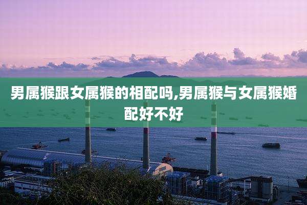 男属猴跟女属猴的相配吗,男属猴与女属猴婚配好不好