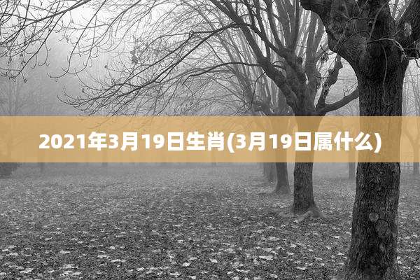 2021年3月19日生肖(3月19日属什么)