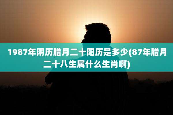 1987年阴历腊月二十阳历是多少(87年腊月二十八生属什么生肖啊)