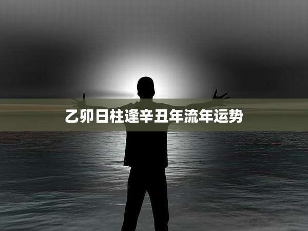乙卯日柱逢辛丑年流年运势