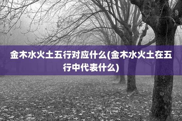 金木水火土五行对应什么(金木水火土在五行中代表什么)