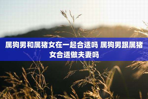 属狗男和属猪女在一起合适吗 属狗男跟属猪女合适做夫妻吗