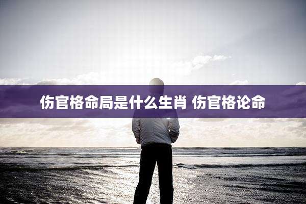 伤官格命局是什么生肖 伤官格论命
