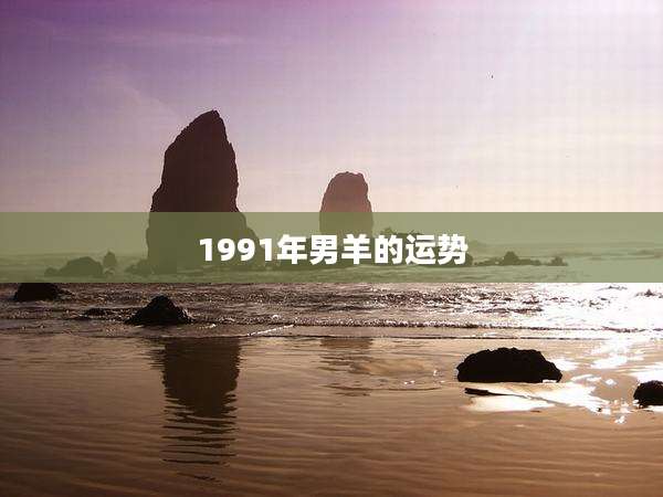 1991年男羊的运势