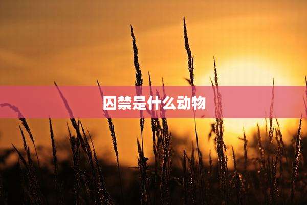 囚禁是什么动物