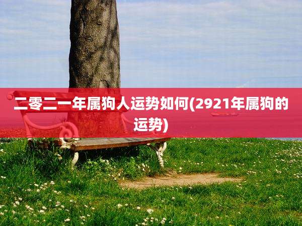 二零二一年属狗人运势如何(2921年属狗的运势)