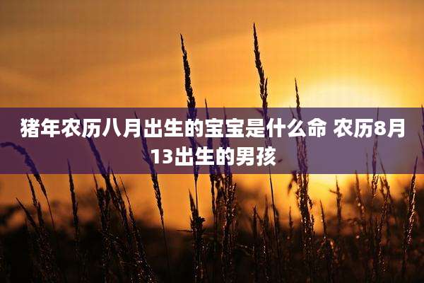 猪年农历八月出生的宝宝是什么命 农历8月13出生的男孩