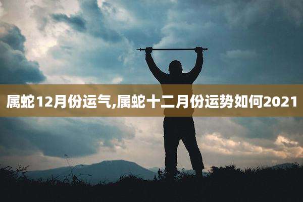 属蛇12月份运气,属蛇十二月份运势如何2021