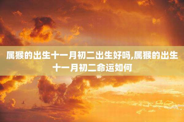 属猴的出生十一月初二出生好吗,属猴的出生十一月初二命运如何