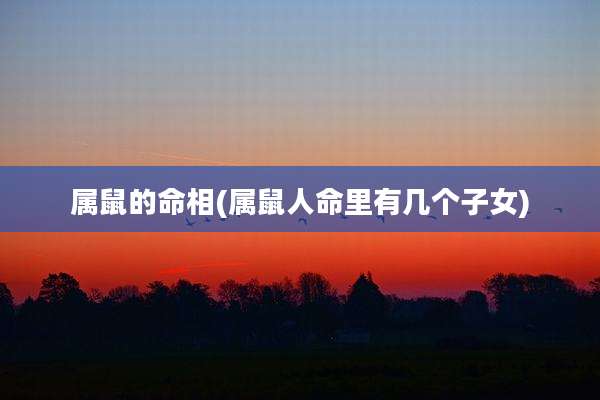 属鼠的命相(属鼠人命里有几个子女)