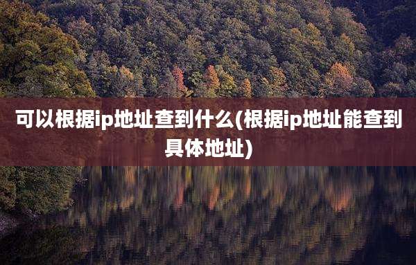 可以根据ip地址查到什么(根据ip地址能查到具体地址)