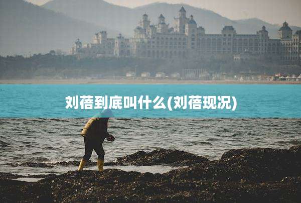 刘蓓到底叫什么(刘蓓现况)