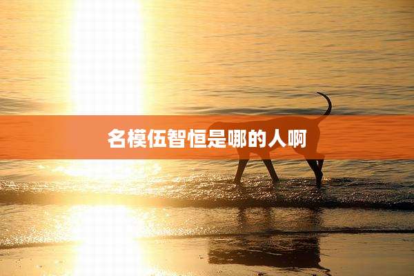 名模伍智恒是哪的人啊