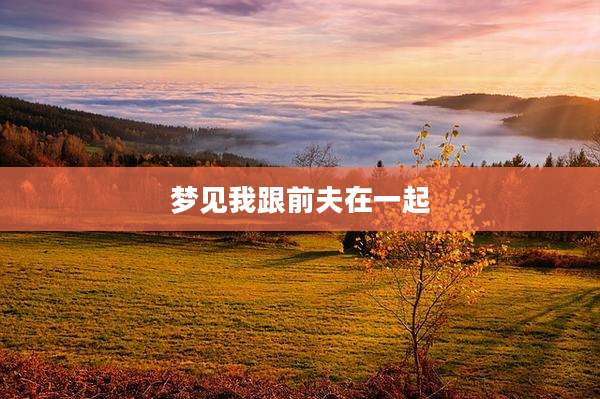 梦见我跟前夫在一起