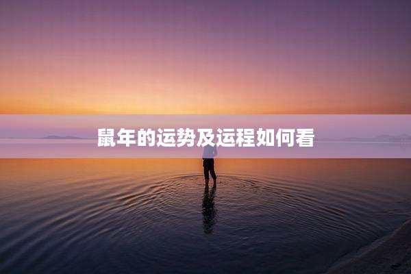 鼠年的运势及运程如何看