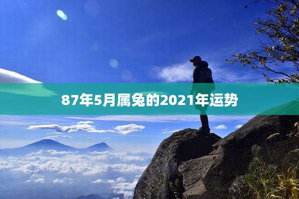 87年5月属兔的2021年运势