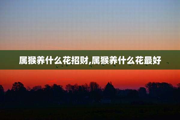 属猴养什么花招财,属猴养什么花最好