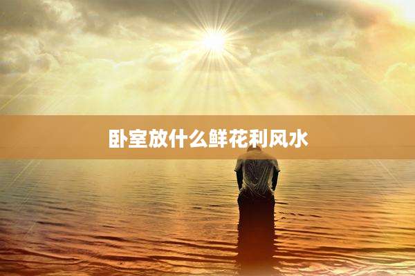卧室放什么鲜花利风水