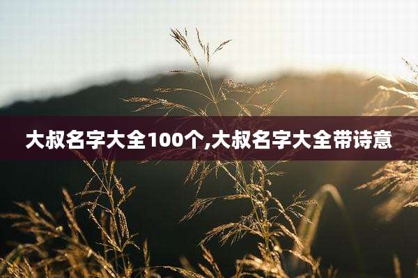 大叔名字大全100个,大叔名字大全带诗意