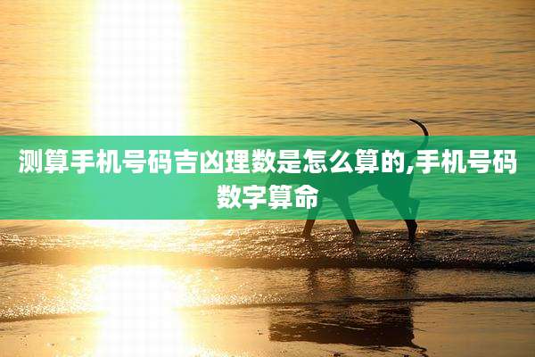测算手机号码吉凶理数是怎么算的,手机号码数字算命