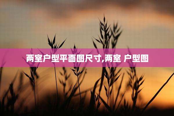 两室户型平面图尺寸,两室 户型图