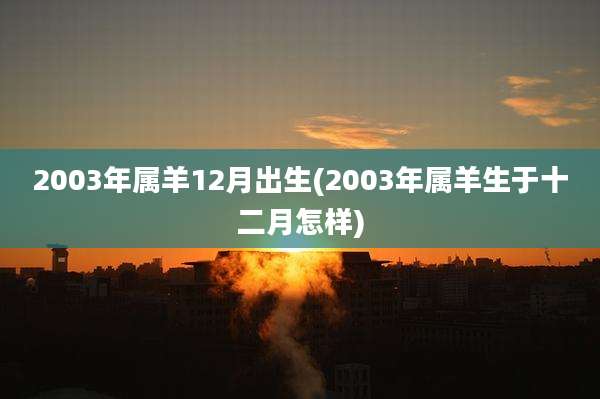 2003年属羊12月出生(2003年属羊生于十二月怎样)