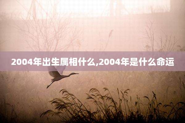 2004年出生属相什么,2004年是什么命运