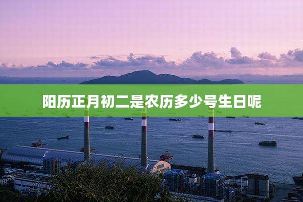 阳历正月初二是农历多少号生日呢
