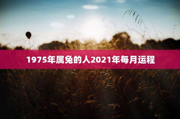 1975年属兔的人2021年每月运程