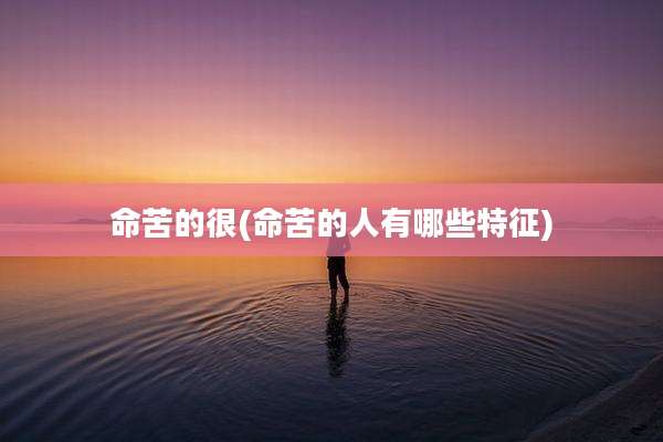 命苦的很(命苦的人有哪些特征)