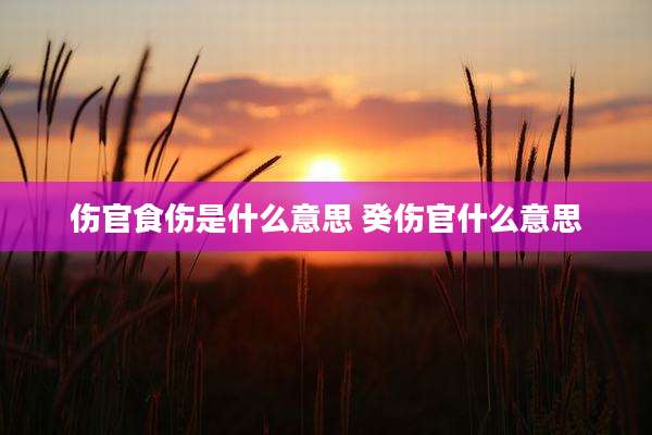 伤官食伤是什么意思 癸伤官什么意思