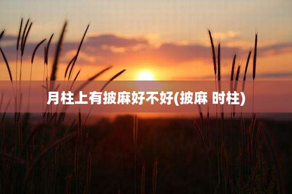 月柱上有披麻好不好(披麻 时柱)