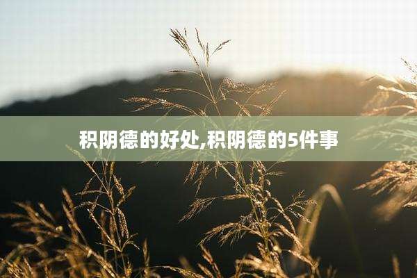 积阴德的好处,积阴德的5件事