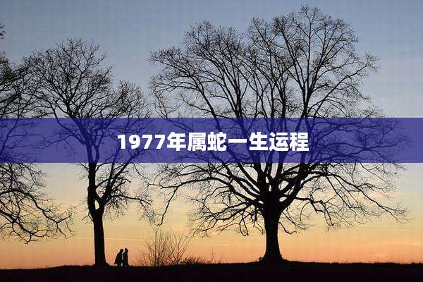 1977年属蛇一生运程