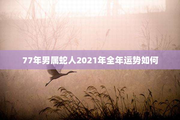 77年男属蛇人2021年全年运势如何