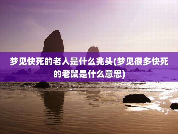 梦见快死的老人是什么兆头(梦见很多快死的老鼠是什么意思)