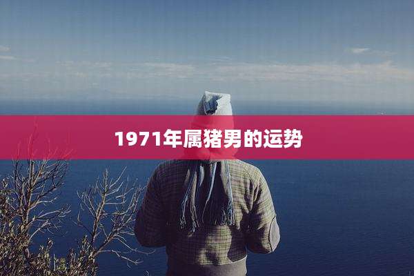 1971年属猪男的运势