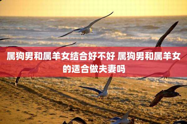 属狗男和属羊女结合好不好 属狗男和属羊女的适合做夫妻吗