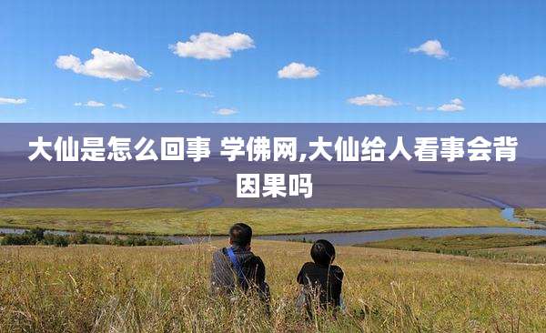 大仙是怎么回事 学佛网,大仙给人看事会背因果吗